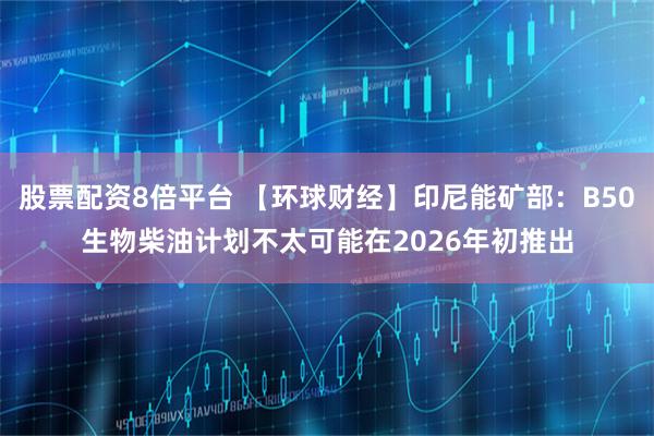 股票配资8倍平台 【环球财经】印尼能矿部：B50生物柴油计划不太可能在2026年初推出